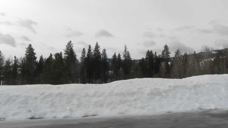 DSCN1582.JPG